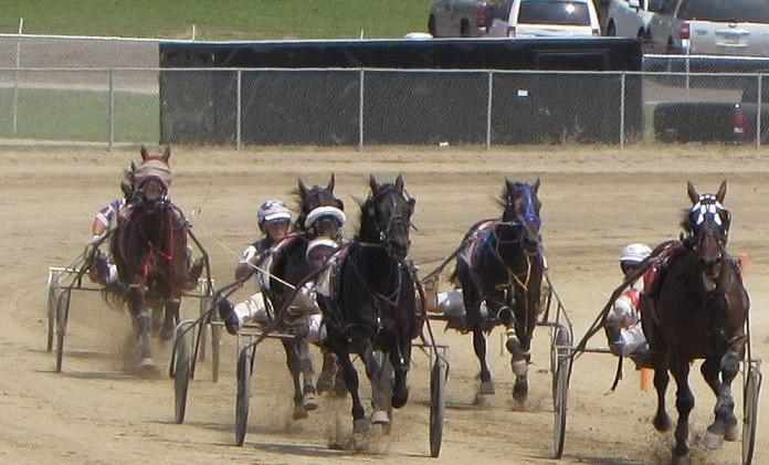 Pickaway County Fair approaches